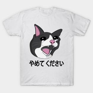 Yamete Kudasai Meme Crying Cat Yamero Japanese Words T-Shirt